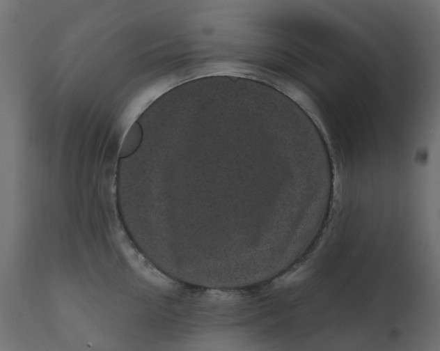 X0000110720954200906261452