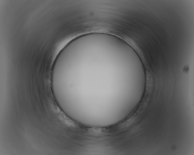 X0000110720956200906261453