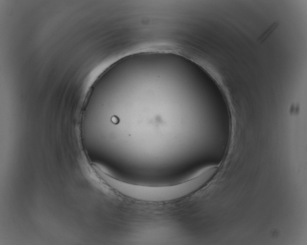 X0000110720960200906261453