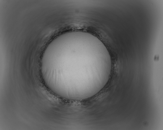 X0000110720961200906261452