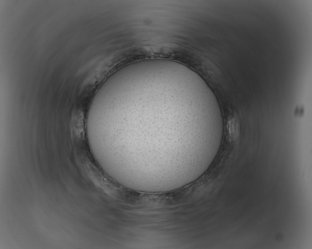 X0000110720963200906261452