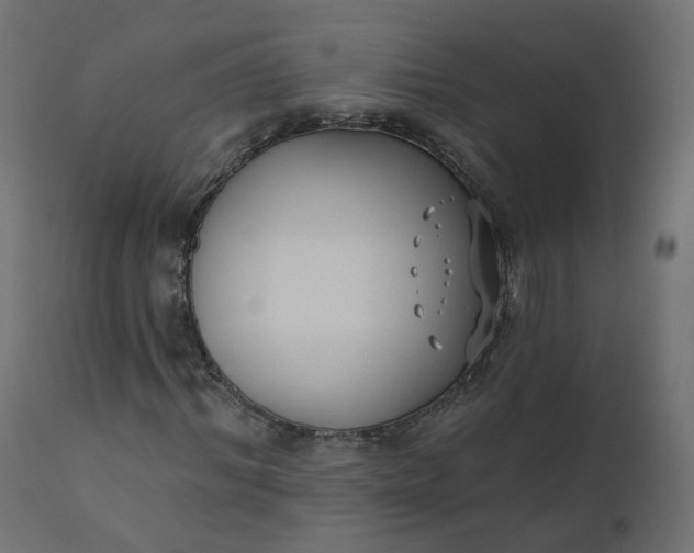 X0000110720964200906261452