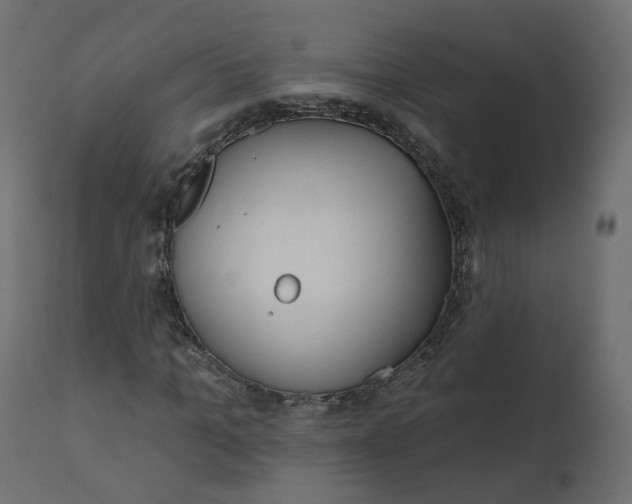 X0000110720965200906261452