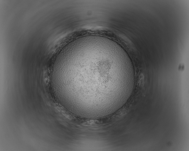 X0000110720966200906261452