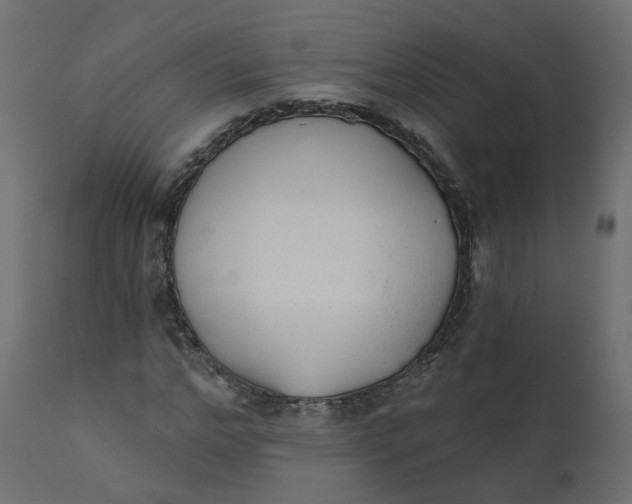 X0000110720968200906261452