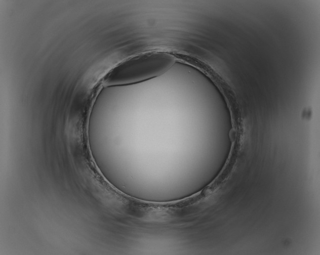 X0000110720969200906261452