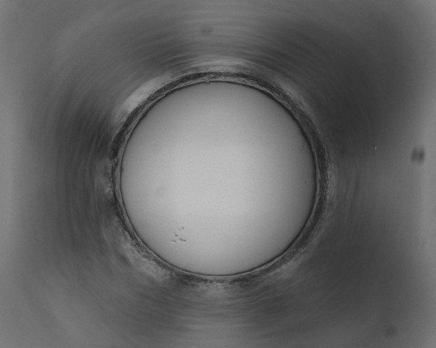 X0000110720970200906261452