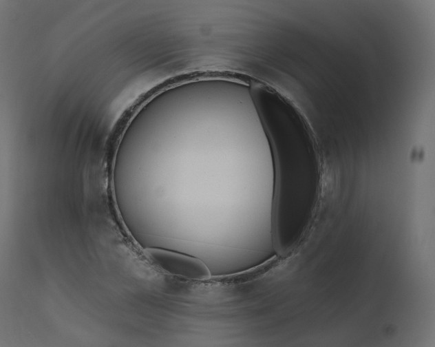 X0000110720973200906261452