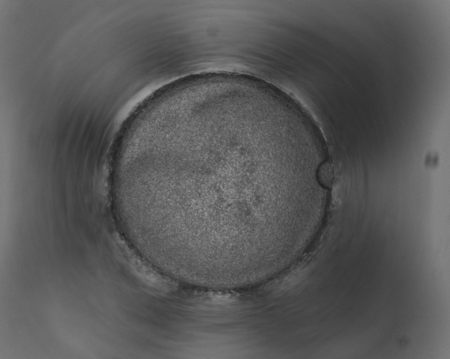 X0000110720975200906261452