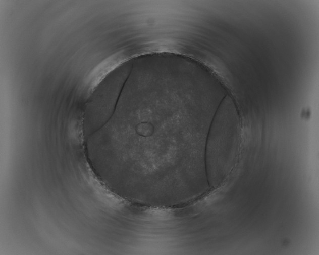 X0000110720977200906261452