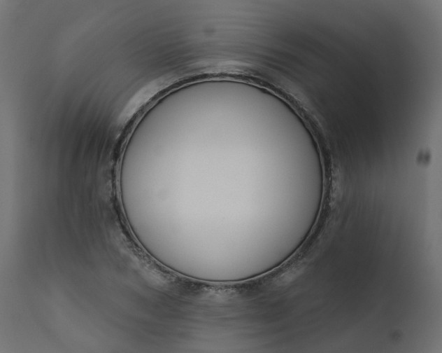 X0000110720978200906261452