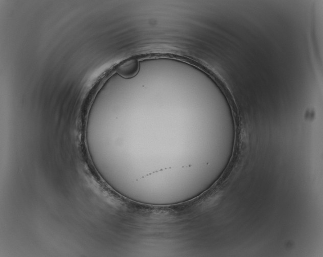 X0000110720979200906261451