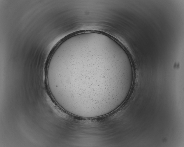 X0000110720980200906261451