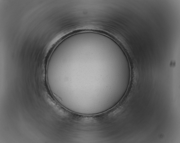 X0000110720982200906261451