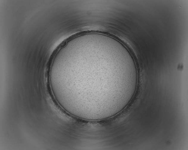 X0000110720983200906261451