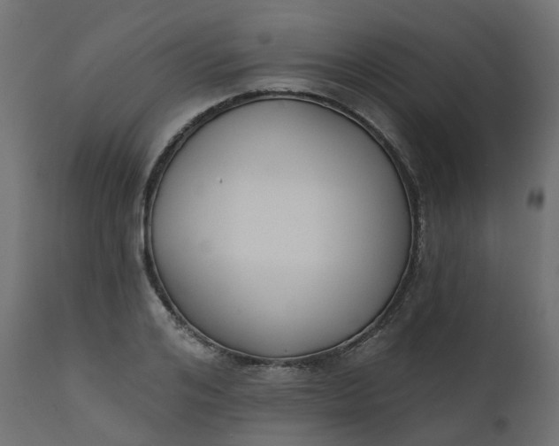 X0000110720984200906261451