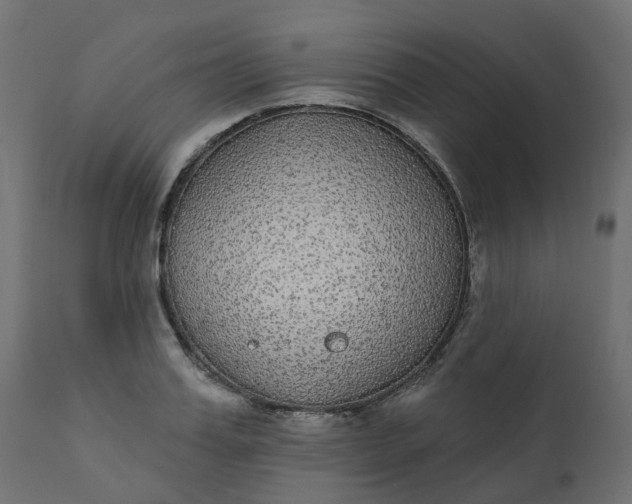 X0000110720987200906261451