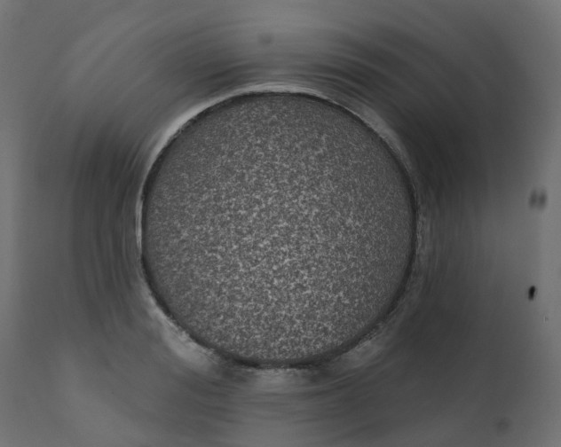 X0000110720988200906261451