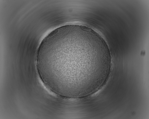 X0000110720989200906261451