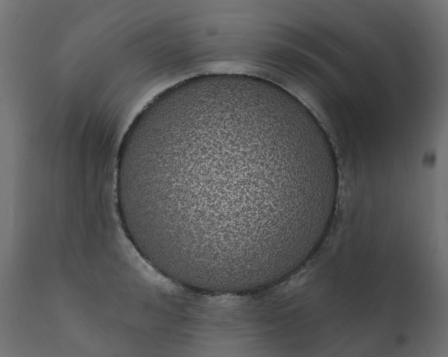 X0000110720992200906261451