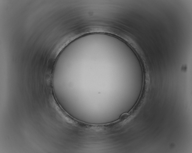 X0000110720993200906261451