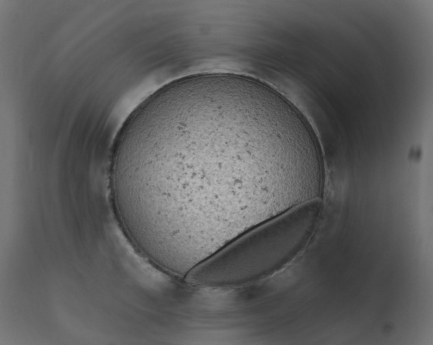 X0000110720997200906261451