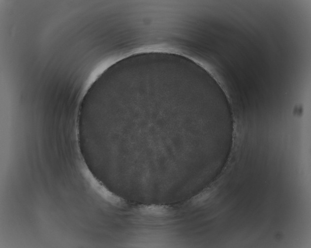 X0000110720998200906261451