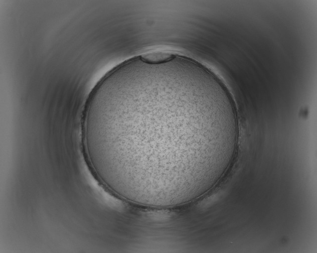 X0000110720999200906261451