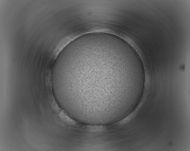 X0000110721001200906261451