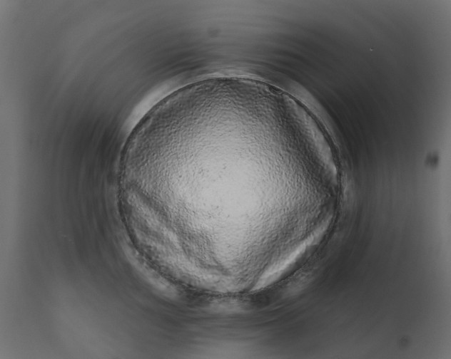 X0000110721002200906261451