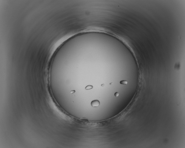 X0000110721003200906261451