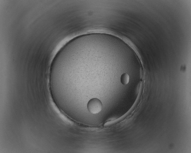 X0000110721005200906261451