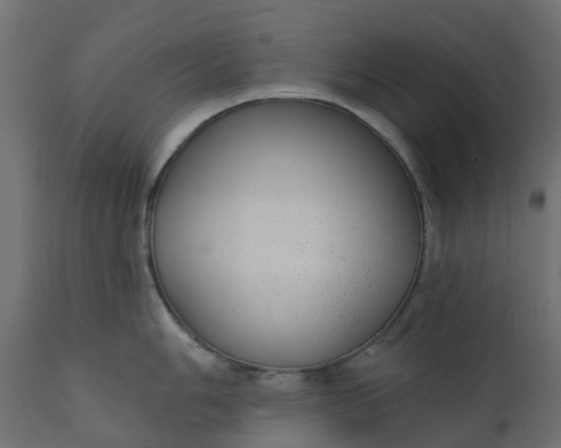 X0000110721006200906261451