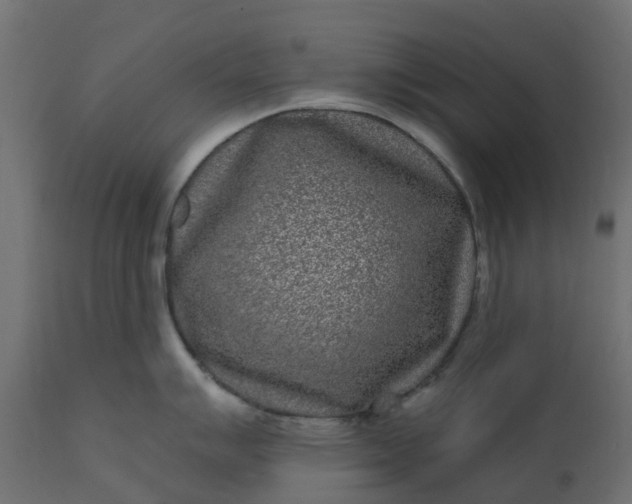 X0000110721007200906261451