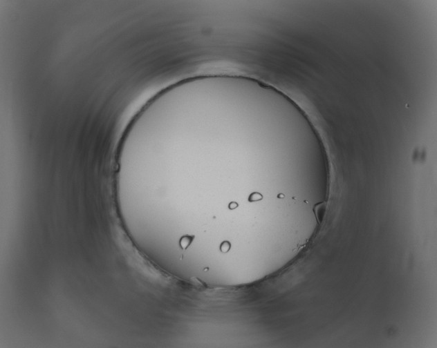 X0000110721008200906261451