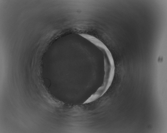 X0000110721009200906261450