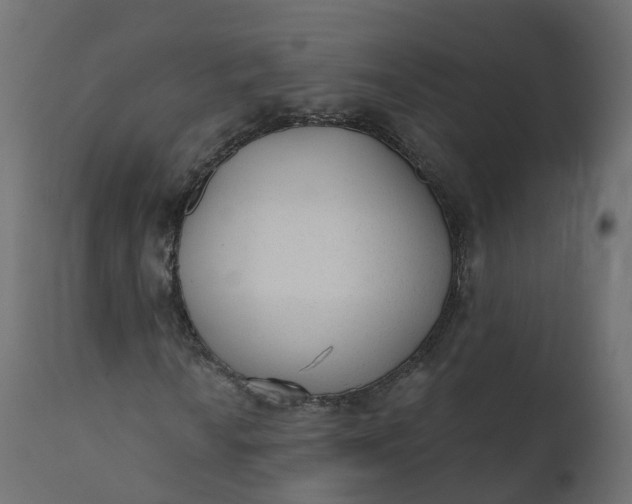 X0000110721010200906261450