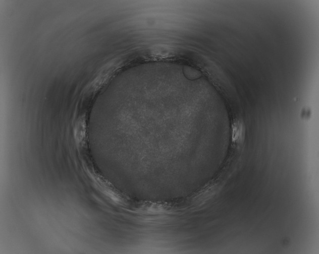 X0000110721011200906261450