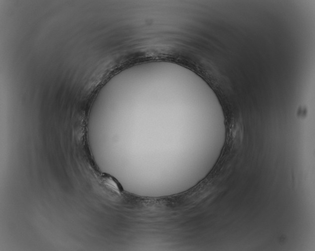 X0000110721012200906261450