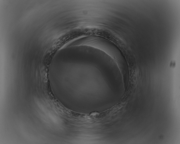 X0000110721013200906261450