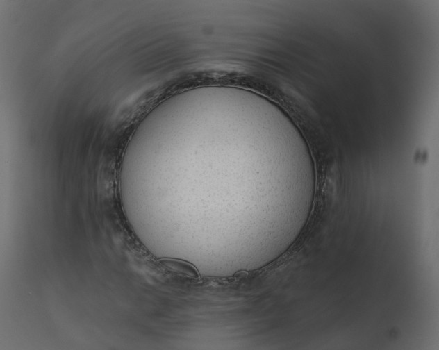 X0000110721014200906261450