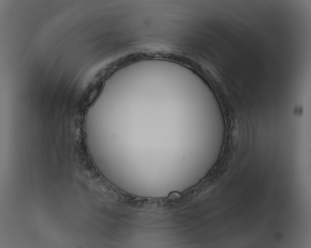 X0000110721016200906261450