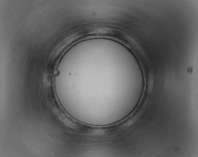 X0000110721017200906261450