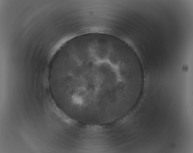 X0000110721019200906261450