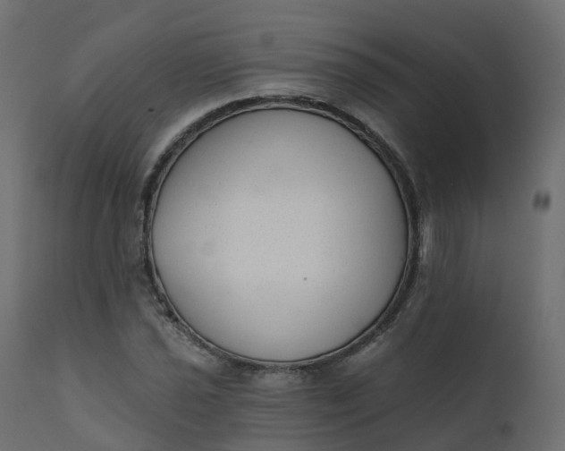 X0000110721021200906261450