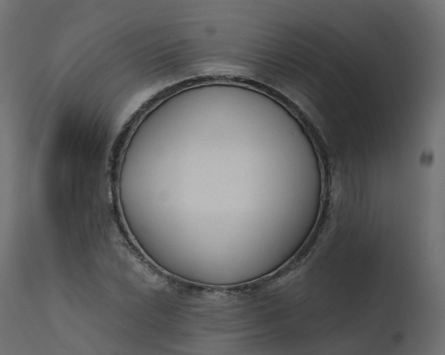 X0000110721022200906261450