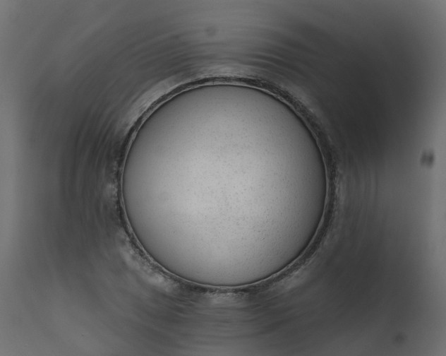 X0000110721025200906261450