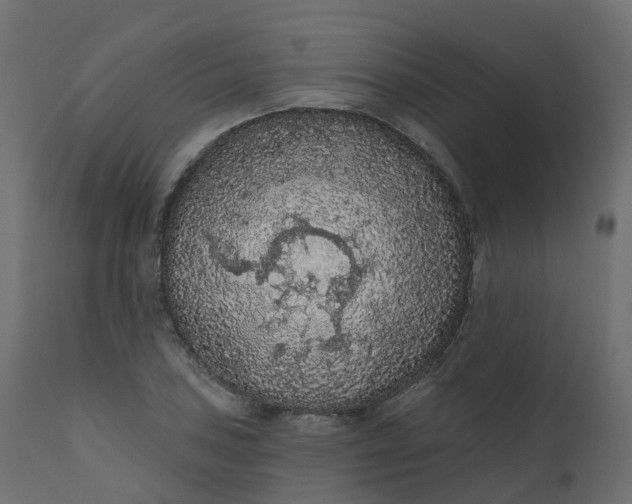 X0000110721027200906261451