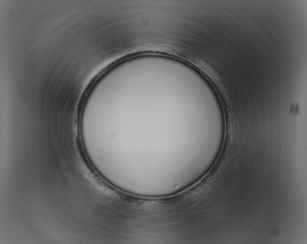 X0000110721028200906261451