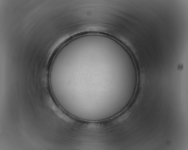 X0000110721029200906261451